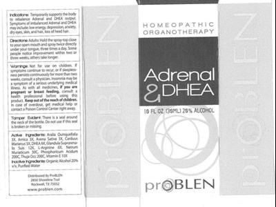 Adrenal And Dhea (Adrenal Dhea Actctn 12 6 10finalapproved)